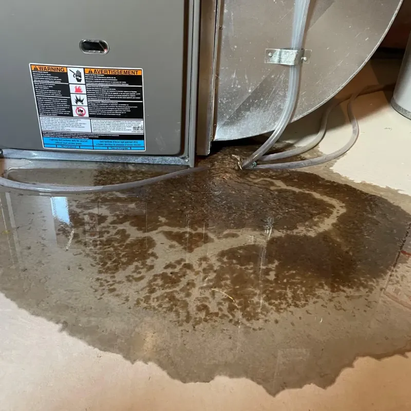 Appliance Leak Cleanup in Beaufort County, NC